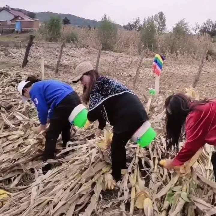 新品钢化大棚移动干农活干活懒人凳随身小凳子农用随身凳坐凳屁股