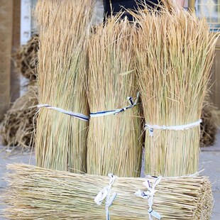 极速稻草干草垫料兔子过冬草狗窝鸡宠物垫窝天然干稻草秸秆禾杆草