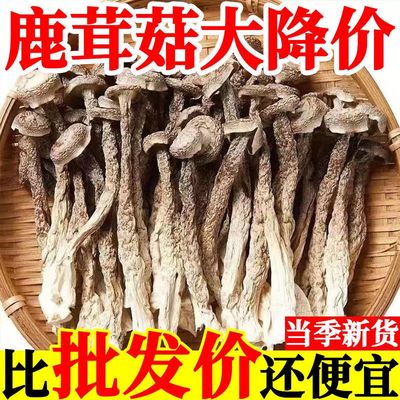 特级新货价鹿茸菇干货鹿耳菇鹿茸菌菌菇蘑菇煲汤食材精选散装