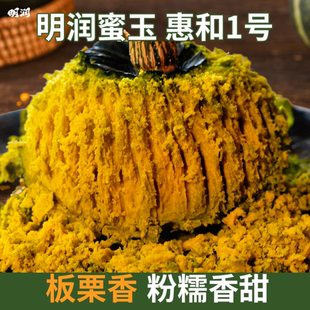 新摘 爆粉板栗香惠和一号贝贝小南瓜宝宝辅食