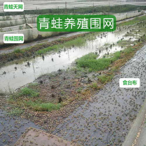 青蛙围网青蛙养殖围网青蛙养殖防逃网专用食台网牛蛙食台布包邮