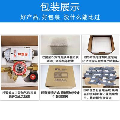 上海繁瑞双级二氧化碳减压阀YST12X-0.1L 培养箱专用减压器减压表