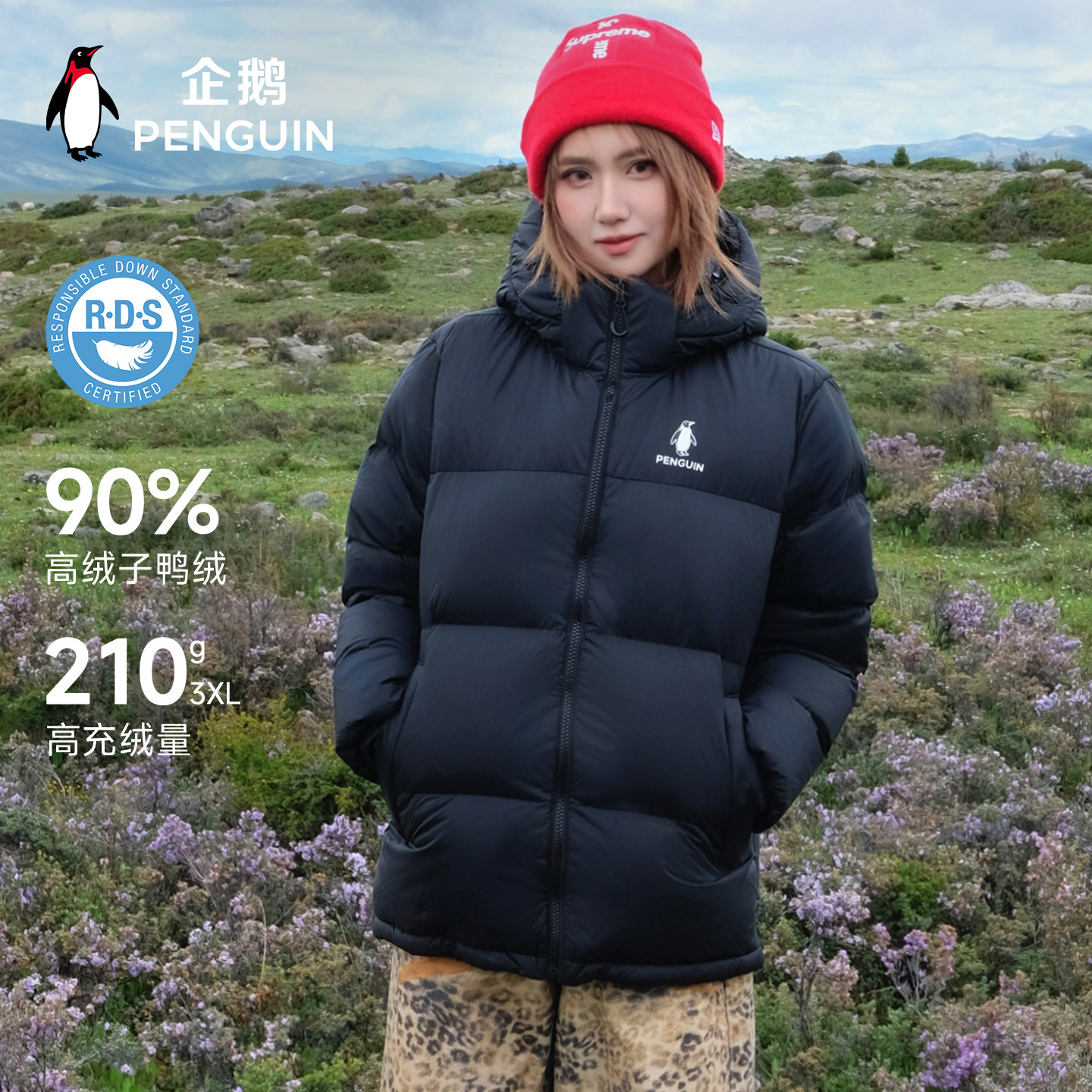 企鹅「雪泡芙」羽绒服女26秋冬款连帽可拆卸立领面包服保暖外套男