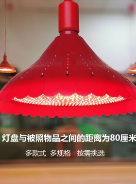 速发1VPK熟食灯红光卤肉卤味灯透镜灯珠卤菜灯熟食暖光黄光超市生