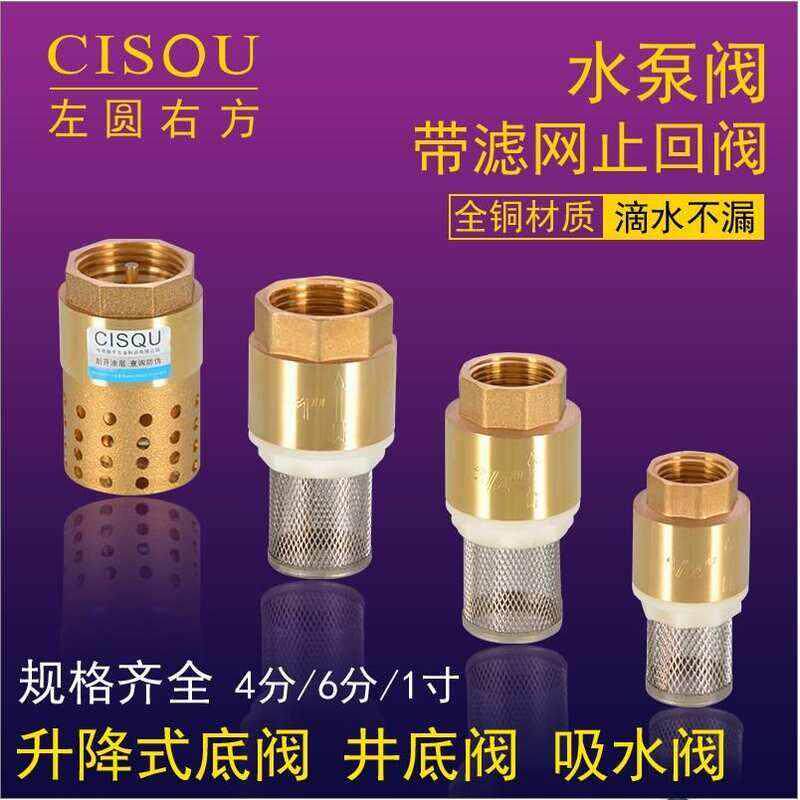 现货速发自吸泵底阀1寸吸水管止回阀6分逆水阀单向水管水表弹簧单