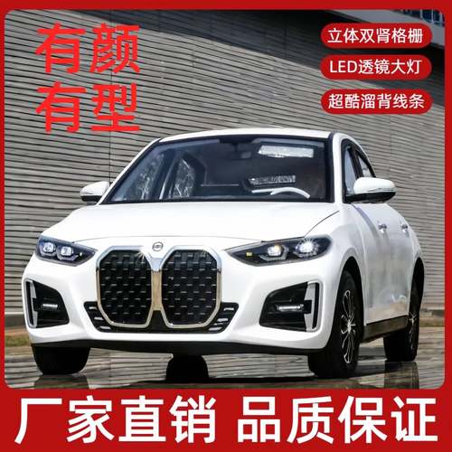 四轮电动车老头乐家用代步新能源汽车成人接送油电两用电动四轮车