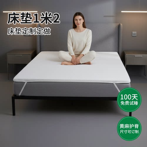 菲欧宫定制加硬护脊0胶薄床垫