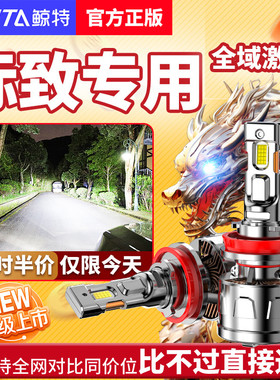 适用308标致3008标志408LED大灯307泡206车灯508改装激光5008 301