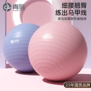 青鸟瑜伽球加厚防爆孕妇专用助产后修复减肥健身球儿童感统训练球