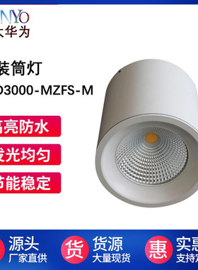 高铁地铁站商场火车站吊装明装筒灯30W40W50W60W80WLED明装筒灯