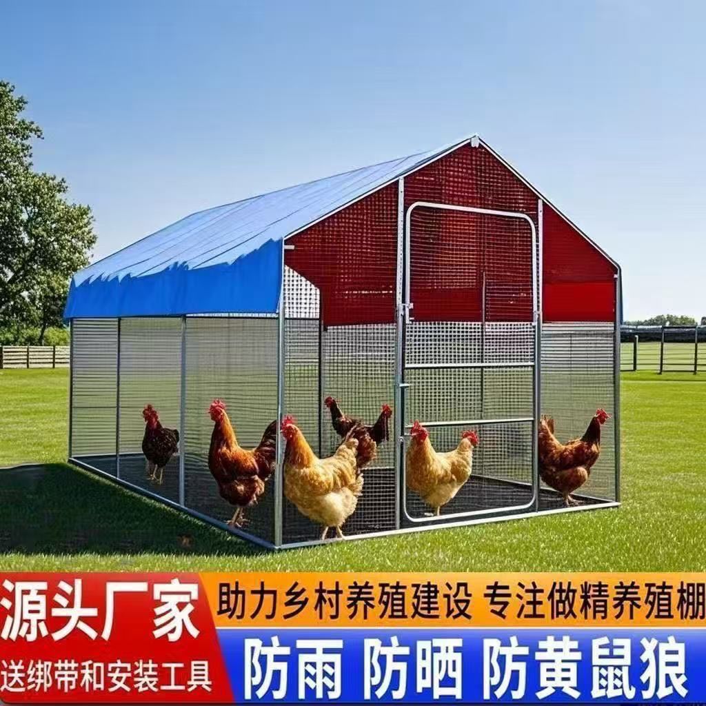 鸡棚大型养殖鸡舍户外养鸡特大号家禽防雨孔雀鸽笼鸡笼搭建家用