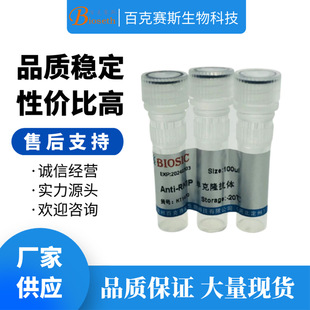 Anti-RKIP Monoclonal antibody 实验用单克隆抗体
