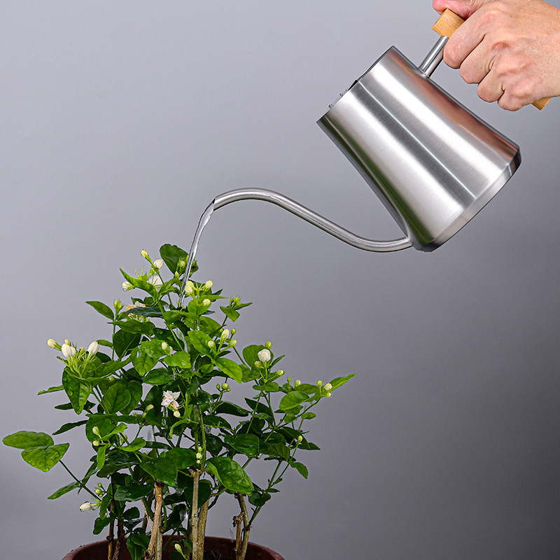 不锈钢浇花壶室内植物创意园艺家用洒水壶金属木手柄喷壶1000ml