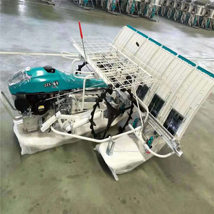 农作物秧苗插秧机栽植机 水稻插秧机 小型农用水田栽苗机