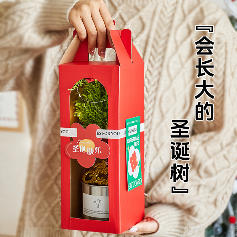 圣诞节礼物送女生男朋友闺