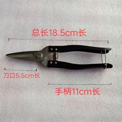 罗定花剪果剪修枝剪园林果剪果树剪刀省力树枝修葡萄剪刀园艺剪刀