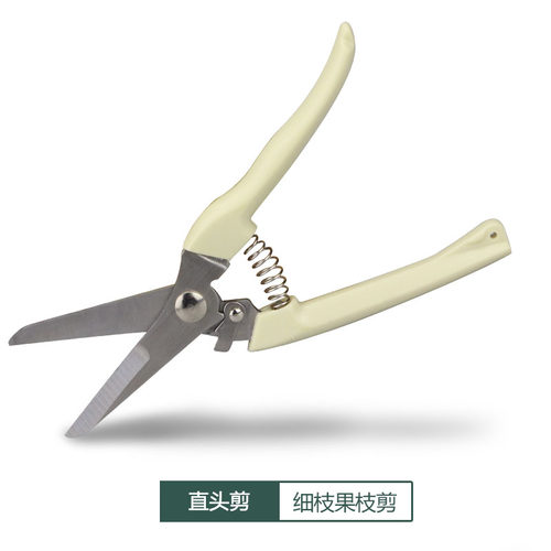 园艺剪刀直头 弯头 花枝剪刀修枝剪刀园林剪刀剪果树盆栽绿植修枝