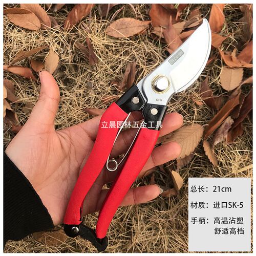 望儿山修枝剪果树剪刀园艺剪进口省力粗枝剪剪树枝专用剪刀花艺剪
