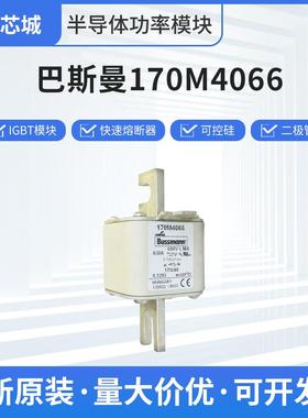 巴斯曼170M4066框架式熔断器