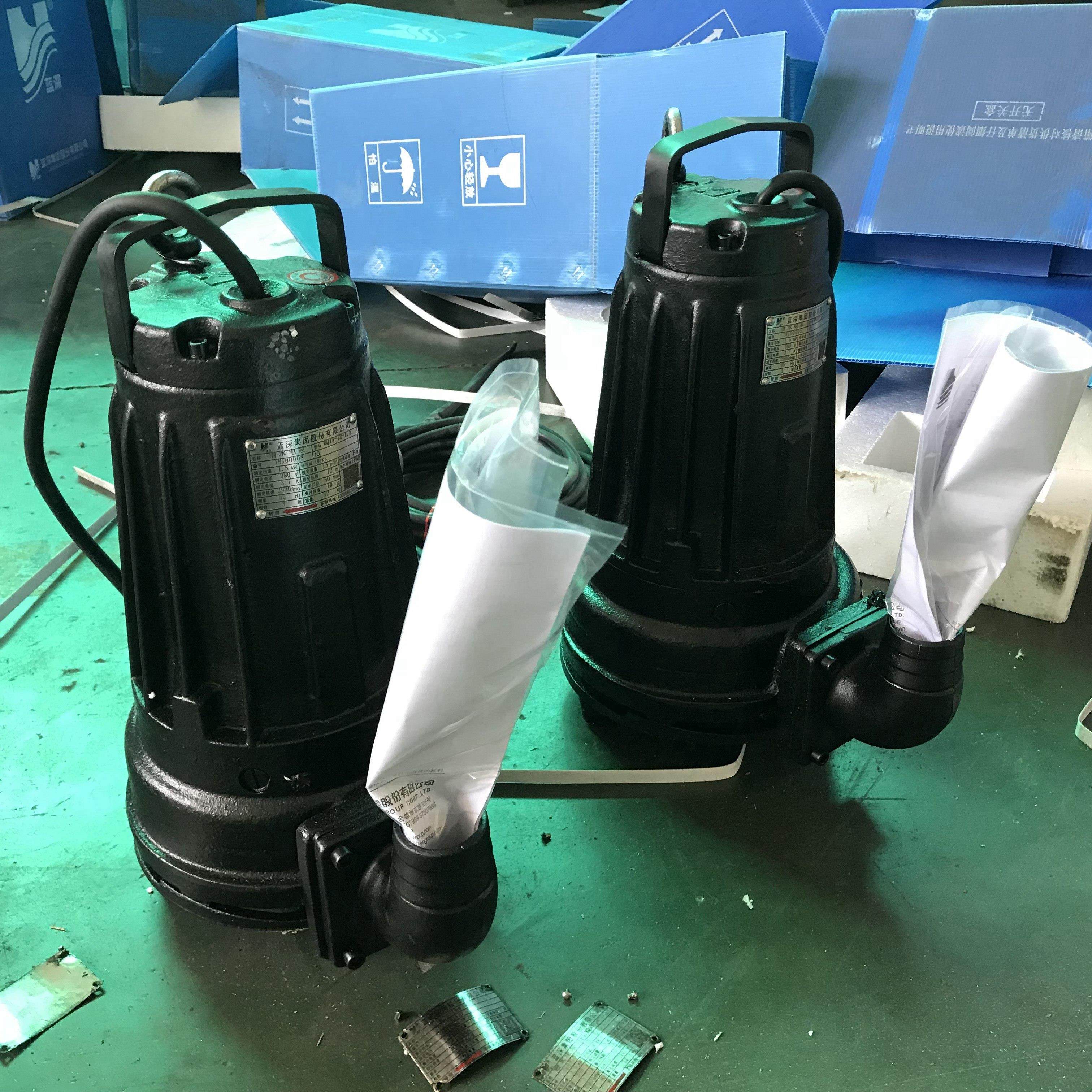 南京蓝深潜水排污泵WQ10-15-1.5KW 移动自耦式安装 生活污水泵