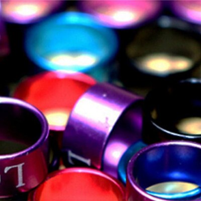 极速50 Pcs Pigeon Bands Bird 5mm FootH Ring Species Identify