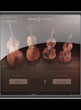 极速Native Instruments Session SGtrings 2 v1.0 KONTAKT