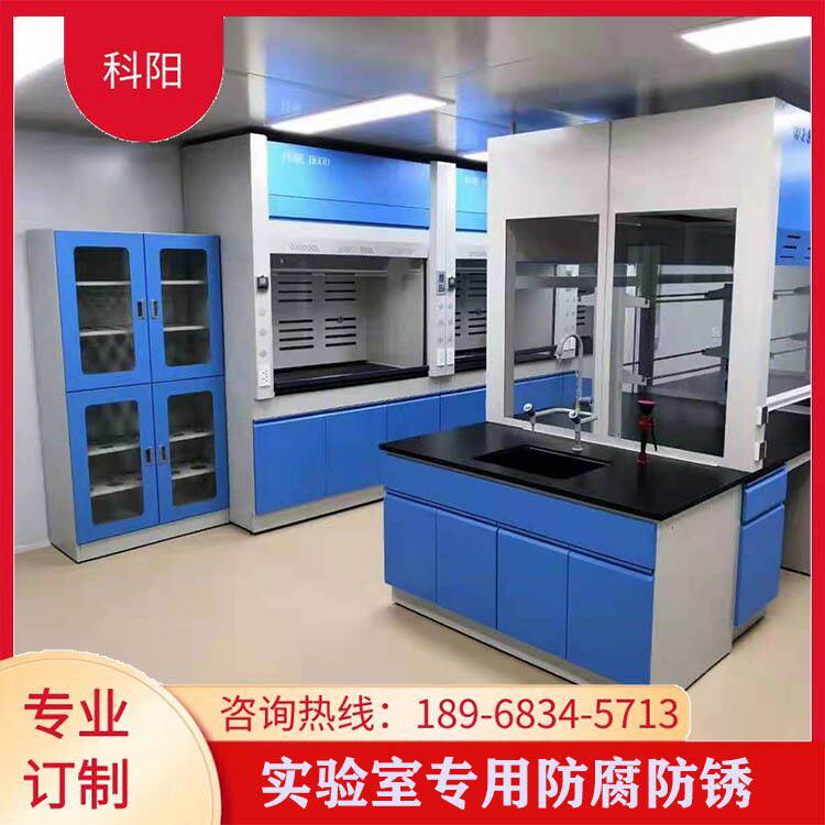 极速新款学校通风柜实验台耐酸碱pp通风橱L化验室落地实验柜实验