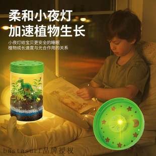 Youhma planting dinosaur ecological landscaping 极速Learn