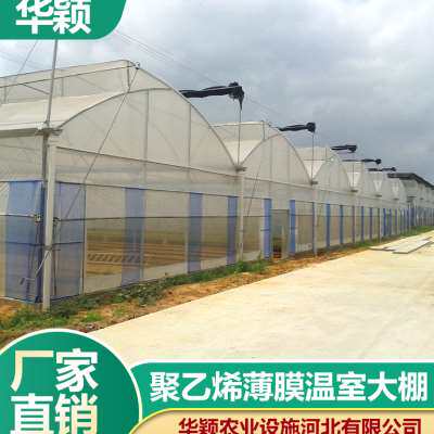 极速大棚骨架钢管养殖连体t连栋大棚薄膜温室全套水槽蔬菜配件天