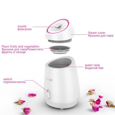 极速new Fruit Facial Face Steamer beauty ThermNal sprYay fac