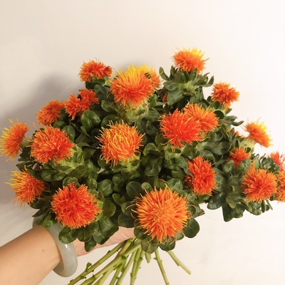 【红花橙菠萝鲜切枝水培】可做干花云南基地直发