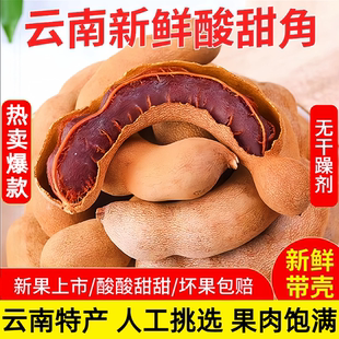 大酸角云南特产新鲜酸甜角干孕妇零食果脯开胃甜酸豆角带壳罗望子