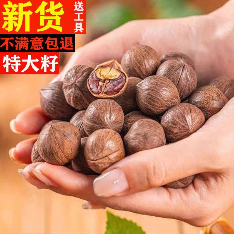 2023新货临安山核桃小核桃原籽非手剥特大籽坚果炒货净重500克包