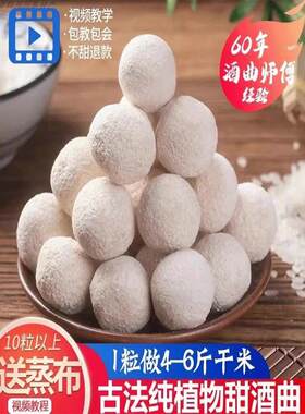 四川大竹东汉正宗醪糟甜