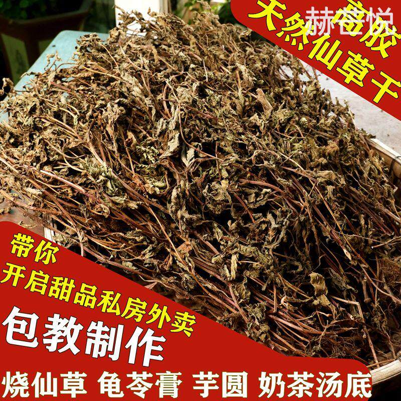 仙草干仙草冻黑凉粉草粿草汁正宗仙人粄草龟苓膏烧仙草 新鲜草干