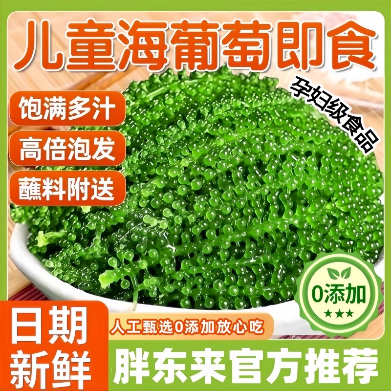 儿童海葡萄水葡萄新鲜绿色鱼子酱小孩孕妇吃盐渍爆珠海葡萄旗舰店