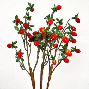 速发非常有型,实物更发亮果花金蛋红!子圣果带叶漂财果小番茄