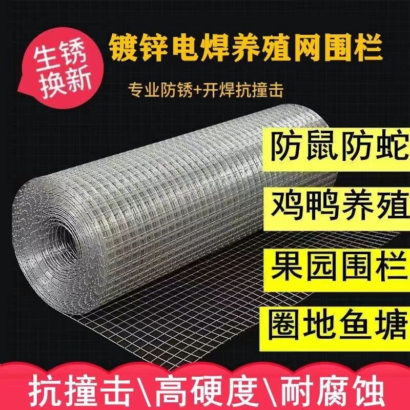 速发镀锌钢丝网鸡鸭养殖网防鼠网台防护圈地隔离网玉米网铁丝防锈