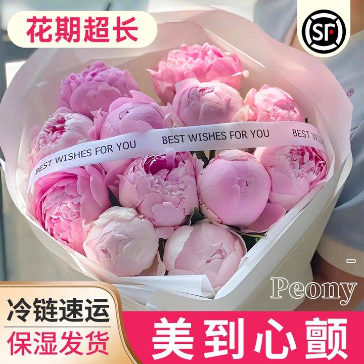 速发芍药瓣南直发落日珊云重瑚花束山东油画牡丹百合鲜切花卉