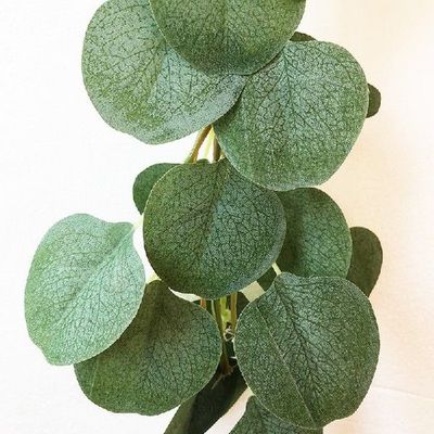 Green Eucalyptus Leaves Garland Wisteria Artificial Flowers