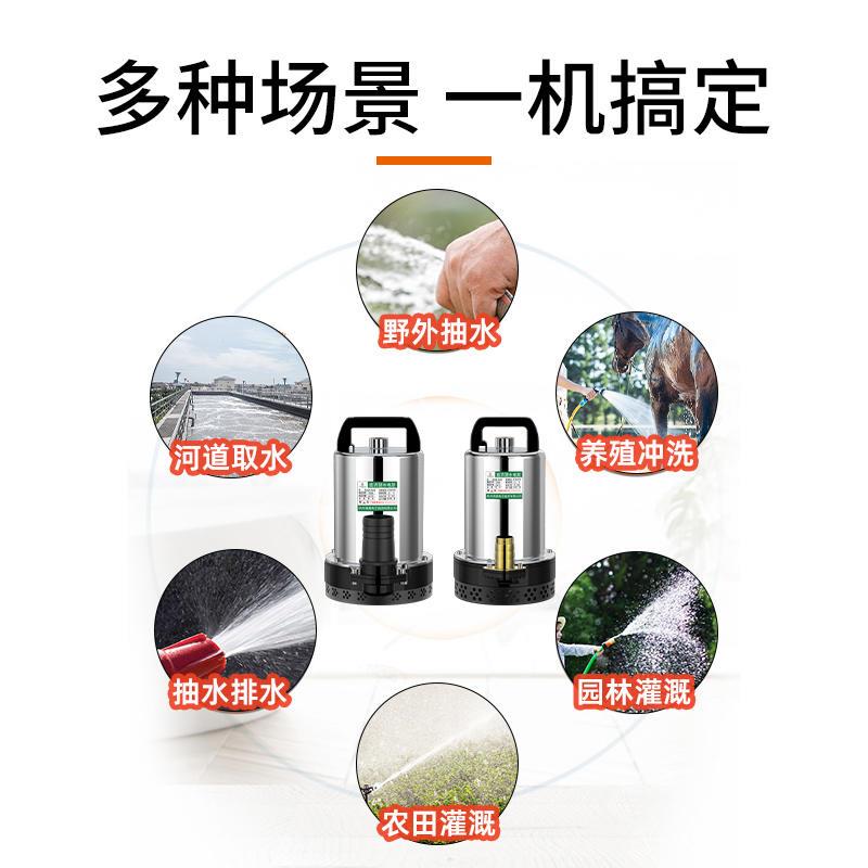 家用直流潜水泵12V24V农用抽水泵48V60V高扬程电瓶小型灌溉抽水机