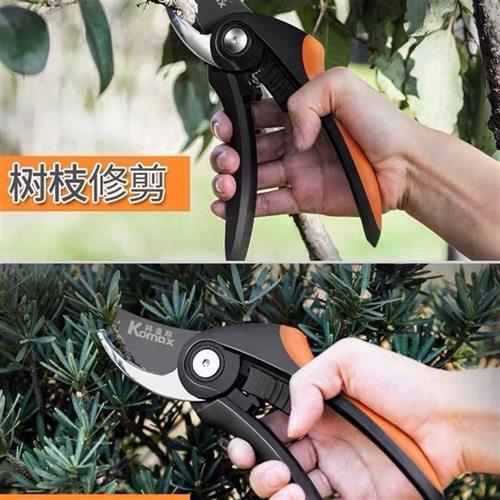 极速德国进口技术园林剪刀修剪树枝果树剪刀园艺剪修花剪强力植【