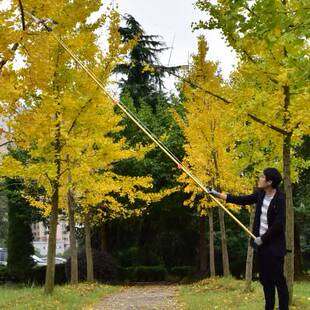 立锦带拉绳高枝剪高空锯树枝带加长伸缩杆高空剪树技树叶修剪剪刀
