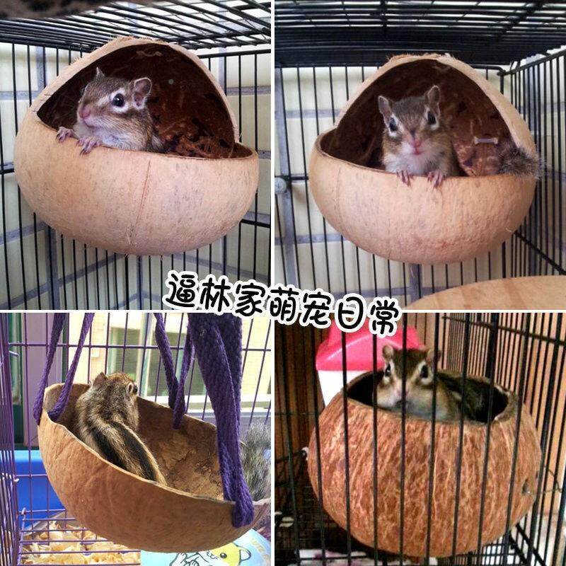 极速椰子壳窝松鼠宠物用品木窝保暖小窝食盆松鼠吊牀耐咬