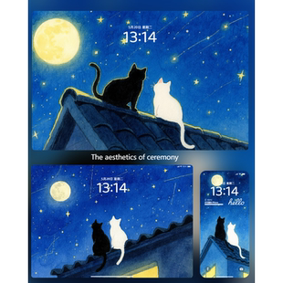 10张屋顶上星空守护者猫咪CP4K8K高清壁纸iPhone手机iPad平板电脑