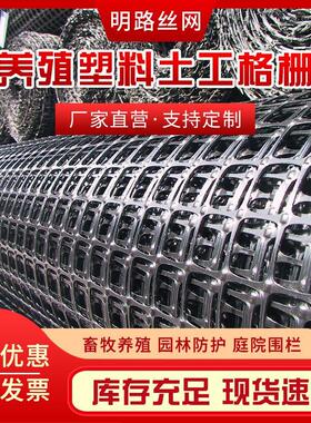 双向拉伸黑色塑料网 小孔网养鸡鸭网户外围栏网 路面加筋土工格栅