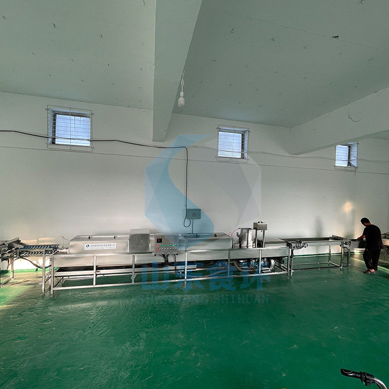 洗蛋机家禽蛋清洗机 养殖场鸡蛋清洗机 多功能多排鸡蛋鸭蛋清洗机
