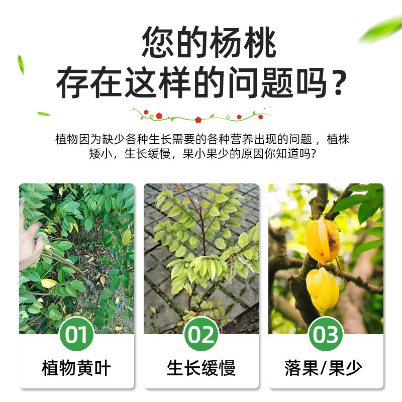 速发杨桃树肥料专用肥营养液杨桃肥桃地栽果树促开花增甜有机肥