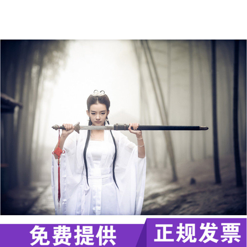 速发小龙服装神雕侠L仙新清淡雅P侣A侠古装对襟汉服演出服