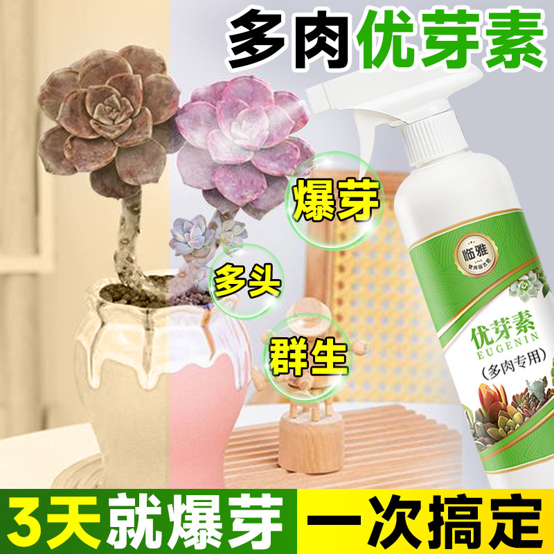 速发优芽素多肉专用营养液肥料爆芽素绿植物促芽催芽矮胖素促群生
